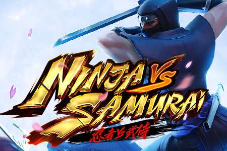 Ninja vs Samurai